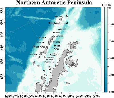 Factors impacting the timing of reproductive development in female Antarctic krill at the northwestern Antarctic Peninsula